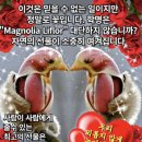 100세의료기 이미지