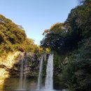 대지 행정사사무소 이미지