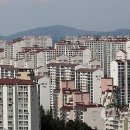 삼호한일기업 Daum카페