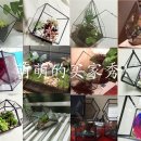 미니정원(테라리움) 이미지