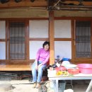 나의살던고향은 이미지