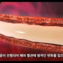 명지 수동물병원 이미지