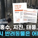 (주)대웅펫 이미지