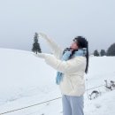 일요농장 | [일본] 삿포로 3박 4일 여행 3일차 코스 추천 : 비에이 투어(소소 투어)