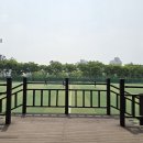 능내근린공원 축구장 이미지