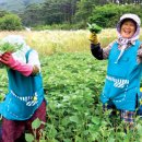 사회적협동조합품앗이마을 이미지