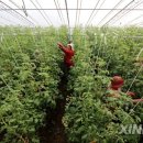 정재용농장 이미지