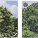 칠전농장 이미지