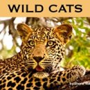 Wild Cats 이미지