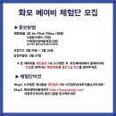 화모