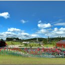 바람개비 이미지