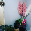 일출다담펜션 이미지