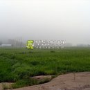 외리농장 Daum카페