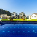 바비애견풀빌라 이미지