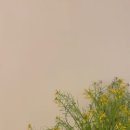 메르시메르시 - 원주시 단구초교길 6-32 | 메르시메르시