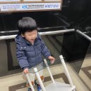 성인 독감 B형독감 열39.7 죽다살아난 후기