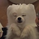 휴셀