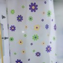 선학 세탁 이미지