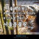 [서울대공원] 코로나19 바이러스에 대처하는 슬기로운 봄나들이 - 서울동물원