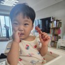 돌배농원 | 아기홍삼언제부터? 22개월 아들도 잘 먹는 이반촌산돌배 홍삼젤리 후기