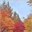 행정사사무소 제안 이미지