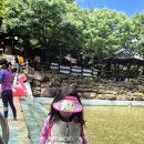 자연휴양림 깊은 물놀이장 이미지