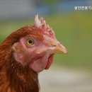 쉴만한물가요양원 이미지