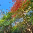 화순케어랜드요양병원 이미지