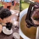 크린친환경