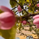 바산목장 이미지