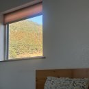 금오름 가는 길 이미지