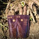 통화농장2 이미지