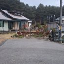 들꽃피는 아침풍경 이미지