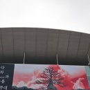 라이온 체육관 | 쏜애플 '바다와 구름과 무대' 콘서트 후기