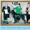 AKC's Weekly Winners Gallery - May 11, 2011 이미지