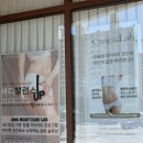 네오힐필라테스 | 건강하게 몸을 회복하면 다이어트까지 따라오는 '광교 다이어트 케어포랩솔트'