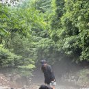 딱다구리매점 | [아버지의 숲] 포천 | 가고 싶다고 갈 수 있는 곳이 아닌 이유 / 1박 후기 (물총새 3번)