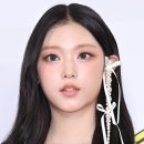 미모고양이 이미지