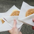 아라비카