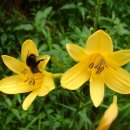 월계중학교 이미지