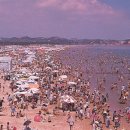 송도해수욕장 이미지