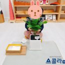 스콜라몬테소리양산덕계점