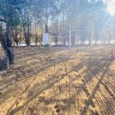 증약초교 병설유치원 이미지