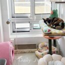 선진동물병원 이미지