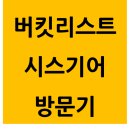 시스기어 솔직한 방문 후기