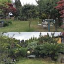 서귀포감귤정원이예쁜집 이미지