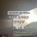 인더플럼