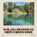 자연공원 | 아기랑 스위스 여행 인터라켄 근교 가볼만한 곳 블라우제 자연공원 후기 바베큐 무료 가능
