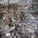 세븐일레븐논산공단로드점 | 지게차 배터리재생 복원불능 사례 / 굿셀