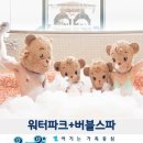 패밀리 워터파크 이미지